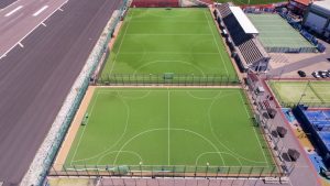 Artificial Grass Maintenance