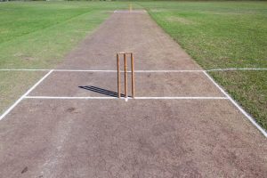 Cricketwicket