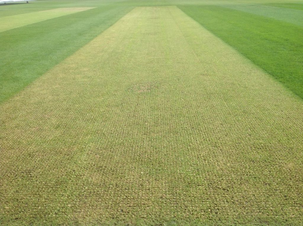 Artificial Cricket Wicket